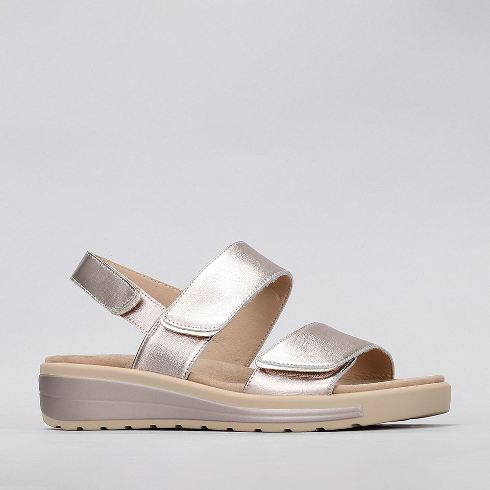 NAKED ARCHES Hanza - Champagne