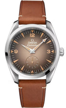 Load image into Gallery viewer, 235.12.38.20.13.001 - Omega Seamaster Railmaster 38mm