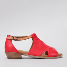 Load image into Gallery viewer, LE SANSA Digby - Red/Tan
