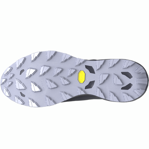 Mizuno Wave Daichi 9 GTX