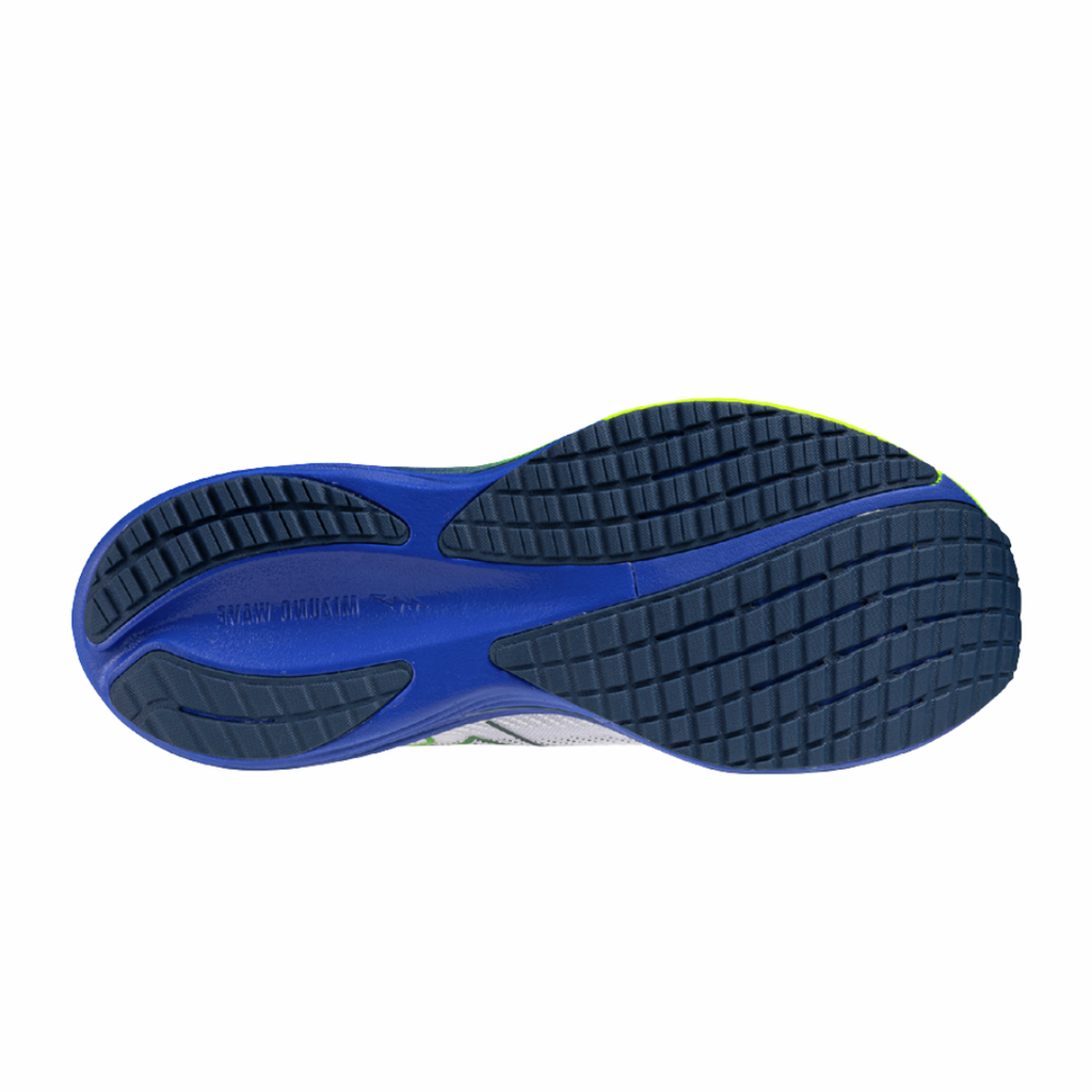 Mizuno Wave Rider 29