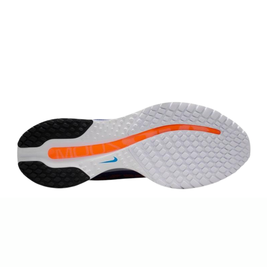 Nike Pegasus Premium