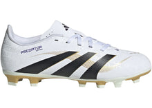 Load image into Gallery viewer, adidas Predator Club FG/MG Road to Glory Pack (Kids)